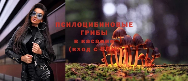 каннабис Аркадак